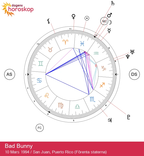 Bad Bunny: Magin Hos En Fiskestjärna