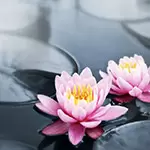 Andligt liv Getens under 2030