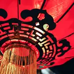 Tiger: välbefinnande i November 2025