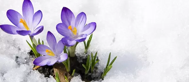 Horoskop för Onsdag 7 Januari 2026