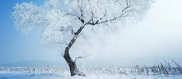 Horoskop för Fredag 9 Januari 2026