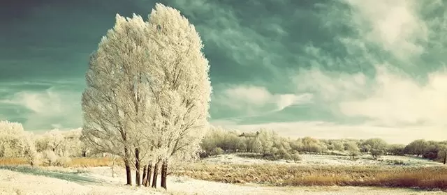 Horoskop för Onsdag 14 Januari 2026