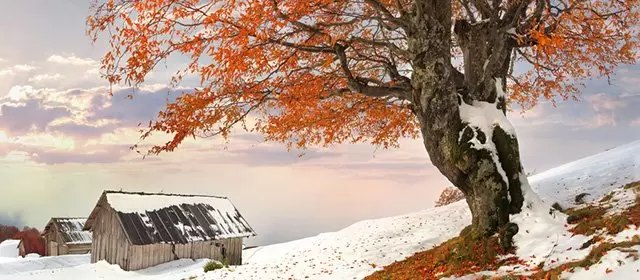 Horoskop för Lördag 31 Januari 2026