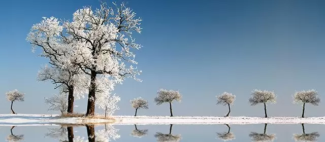 Horoskop i december 2025