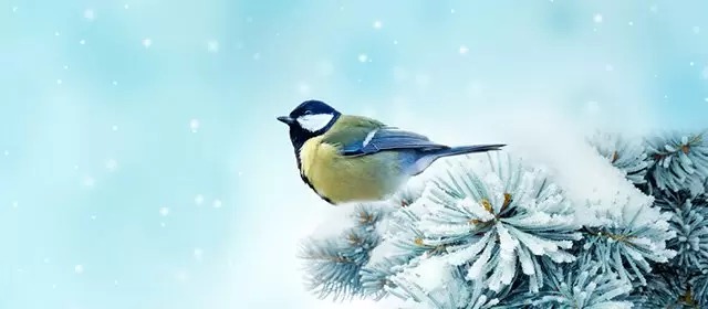 Horoskop för Måndag 2 Februari 2026