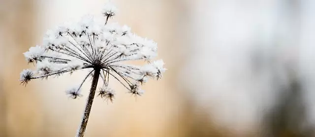 Horoskop för Tisdag 3 Februari 2026