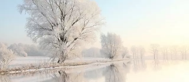 Horoskop för Onsdag 4 Februari 2026