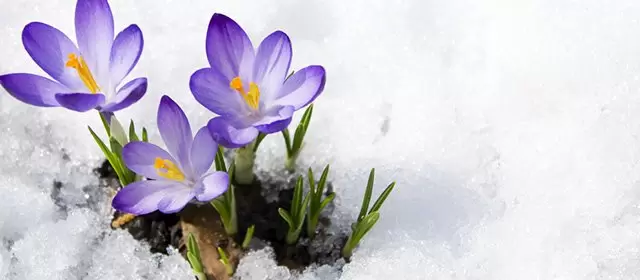 Horoskop för  Torsdag 5 Februari 2026