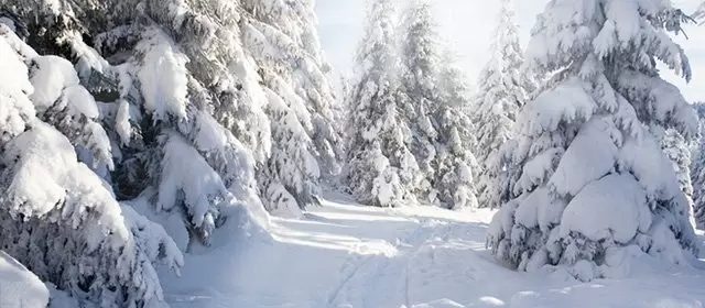 Horoskop för  Onsdag 11 Februari 2026