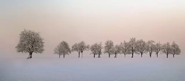 Horoskop för  Måndag 16 Februari 2026