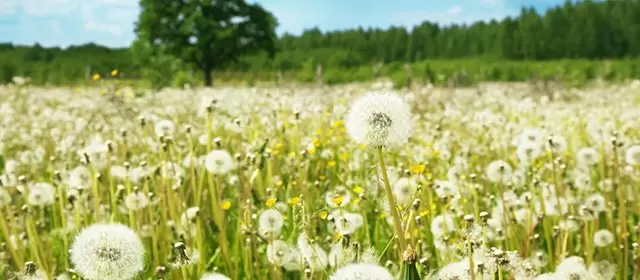 Horoskop för Tisdag 3 Mars 2026