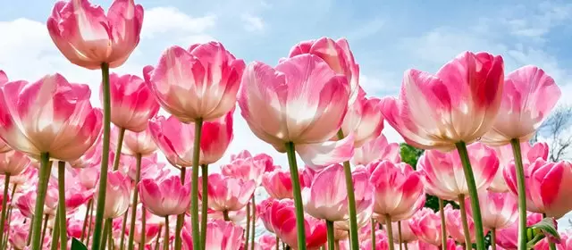 Horoskop för Lördag 7 Mars 2026