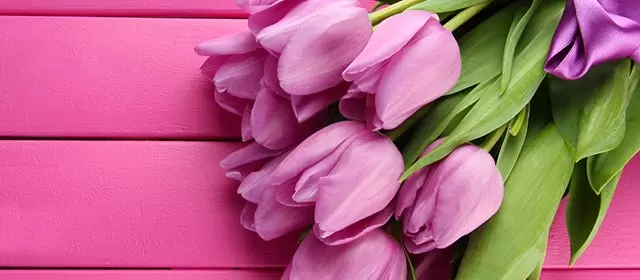 Horoskop för  Söndag 8 Mars 2026