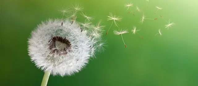 Horoskop för  Onsdag 11 Mars 2026