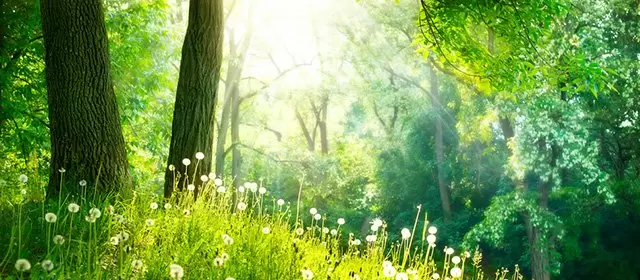 Horoskop för  Fredag 13 Mars 2026