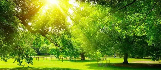 Horoskop för Lördag 22 Mars 2025