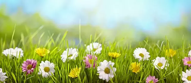 Horoskop för Fredag 28 Mars 2025