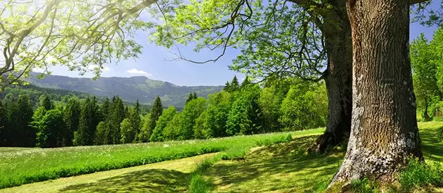 Horoskop i februari 2026
