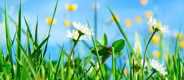 Horoskop för  Fredag 3 April 2026