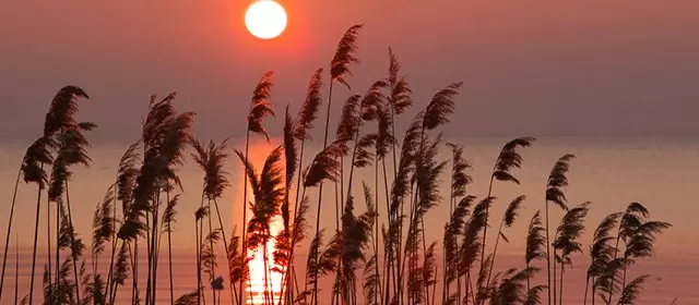 Horoskop för  Söndag 5 April 2026