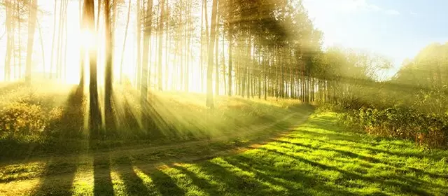 Horoskop för  Tisdag 7 April 2026