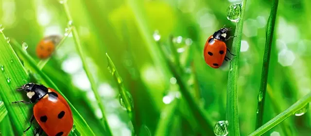 Horoskop för Söndag 12 April 2026