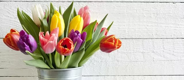 Skorpionen: veckans horoskop för den 21 April 2025