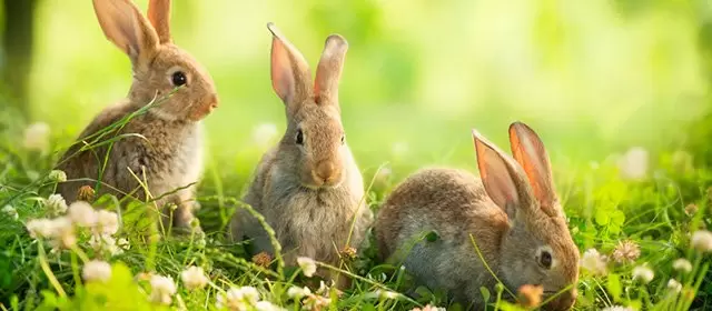 Horoskop för Onsdag 15 April 2026