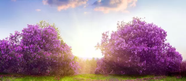 Horoskop för Måndag 28 April 2025