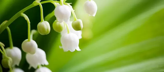 Horoskop för Fredag 2 Maj 2025