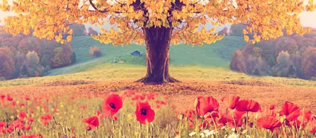 Horoskop för Onsdag 21 Maj 2025