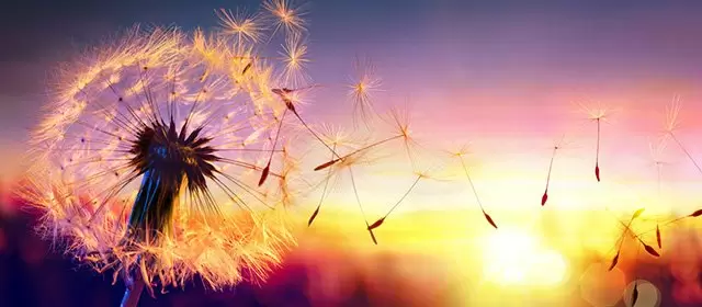 Horoskop för Söndag 25 Maj 2025