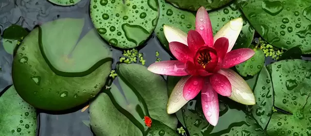 Horoskop för Tisdag 3 Juni 2025