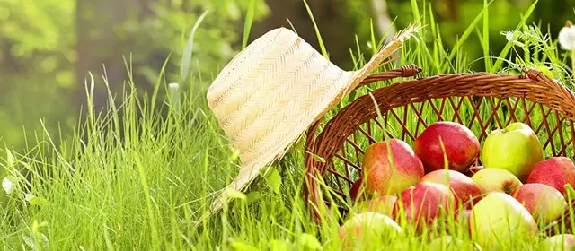 Horoskop för Måndag 9 Juni 2025