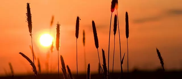 Horoskop för Lördag 14 Juni 2025