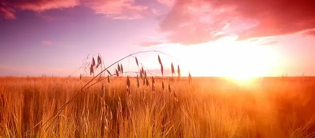 Horoskop i juni 2026