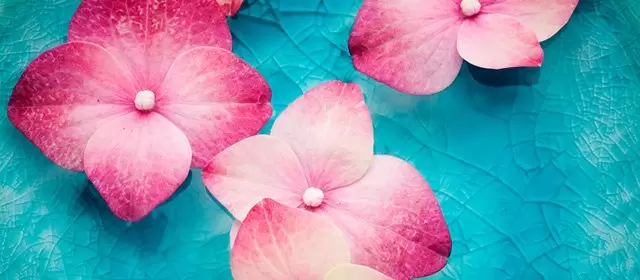Horoskop för  Fredag 7 Augusti 2026
