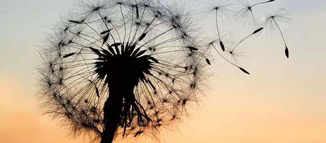 Horoskop för Onsdag 13 Augusti 2025
