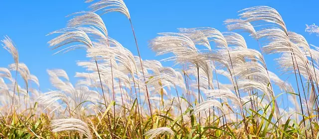 Horoskop för Lördag 27 September 2025