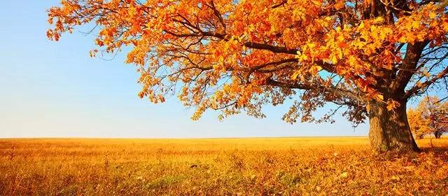 Horoskop för Torsdag 9 Oktober 2025