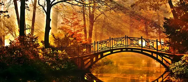 Horoskop för Söndag 12 Oktober 2025