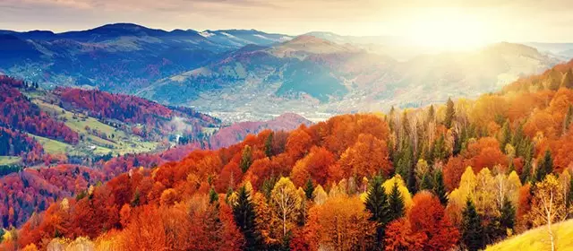 Horoskop för Torsdag 16 Oktober 2025