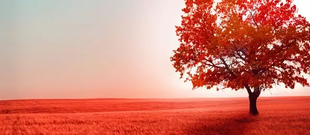 Horoskop för Fredag 17 Oktober 2025