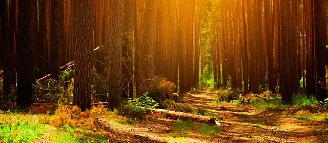 Horoskop för Måndag 20 Oktober 2025