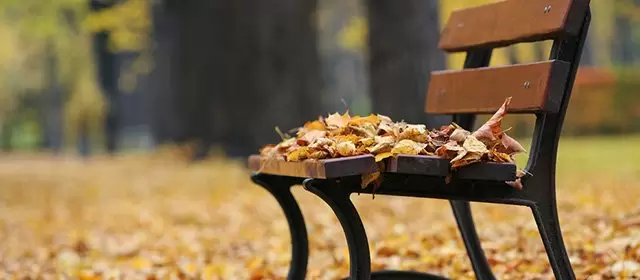 Horoskop för Torsdag 23 Oktober 2025