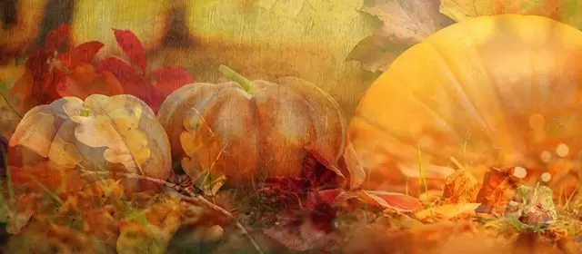 Horoskop för Fredag 31 Oktober 2025