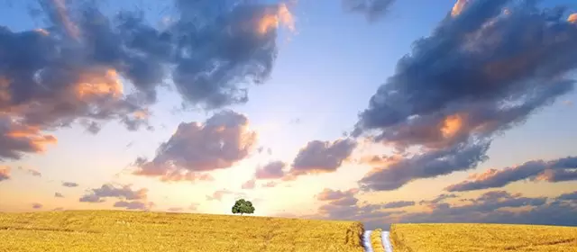 Horoskop i september 2026