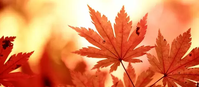 Horoskop för Lördag 8 November 2025