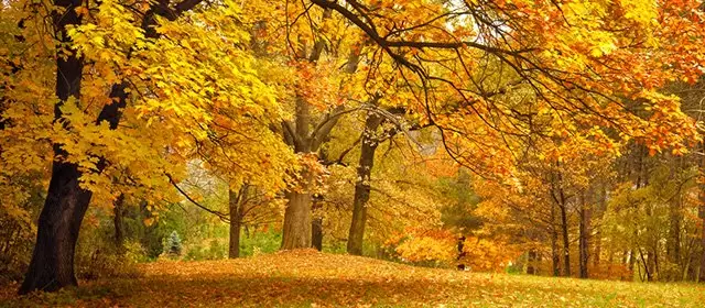 Horoskop för Måndag 10 November 2025