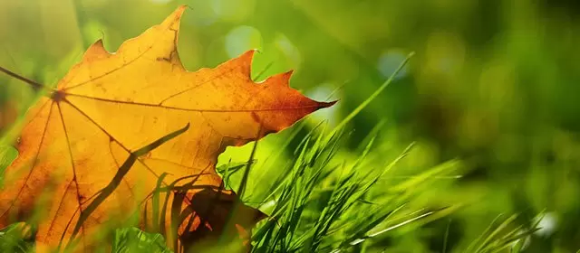 Horoskop för Tisdag 11 November 2025